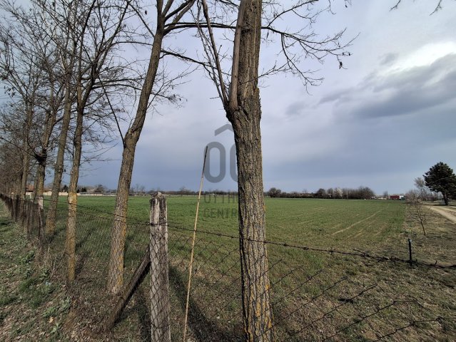 Eladó mezogazdasagi ingatlan, Cegléden 11.9 M Ft