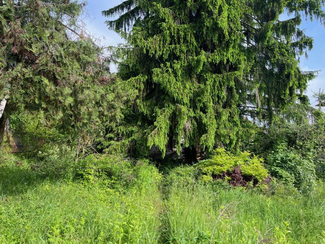 Eladó telek, Budapesten, II. kerületben, Muhar utcában 99 M Ft