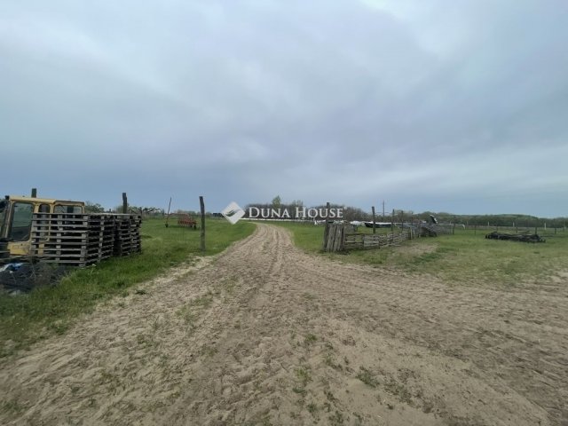 Eladó mezogazdasagi ingatlan, Domaszéken 160 M Ft