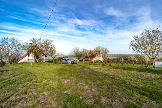 Eladó mezogazdasagi ingatlan, Szekszárdon 10.5 M Ft