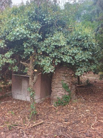 Eladó telek, Cserkúton 15 M Ft / költözzbe.hu