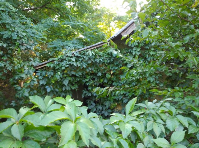 Eladó családi ház, Cibakházán 2.5 M Ft, 2 szobás