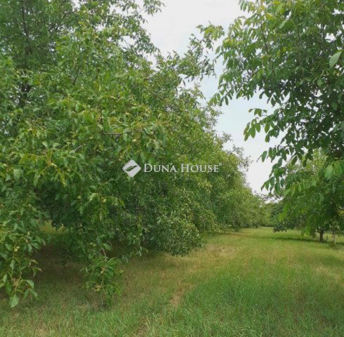 Eladó telek, Ádándon 8.5 M Ft / költözzbe.hu