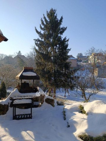 Eladó családi ház, Solymáron 169 M Ft, 6 szobás