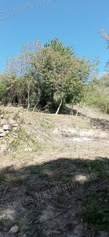 Eladó mezogazdasagi ingatlan, Tatabányán 14.79 M Ft