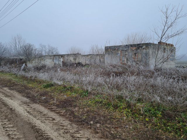 Eladó mezogazdasagi ingatlan, Tiszajenőn 2 M Ft