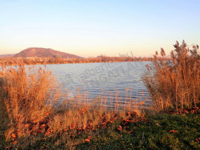 Kiadó téglalakás, albérlet, Biatorbágyon 320 E Ft / hó