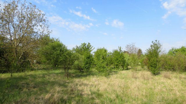Eladó telek, Békéscsabán 3.5 M Ft / költözzbe.hu