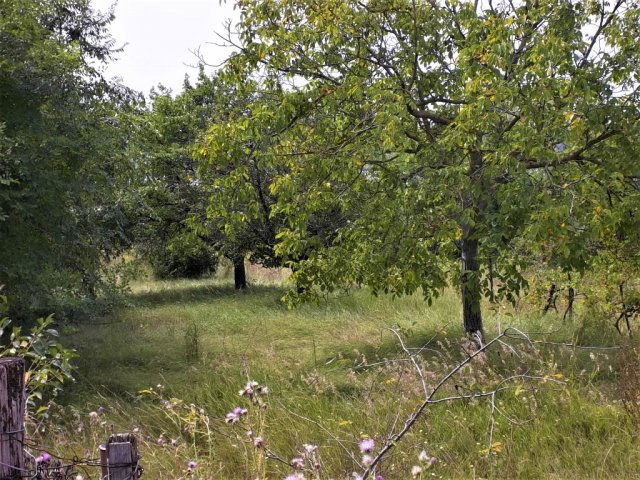 Eladó telek, Kajászón 10 M Ft / költözzbe.hu