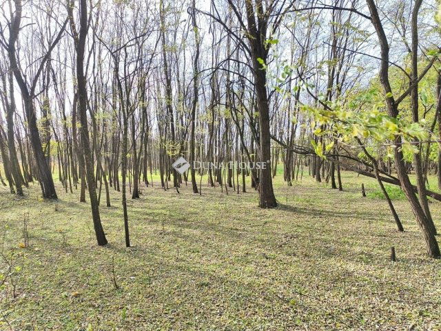 Eladó ipari ingatlan, Farmoson 9.9 M Ft / költözzbe.hu