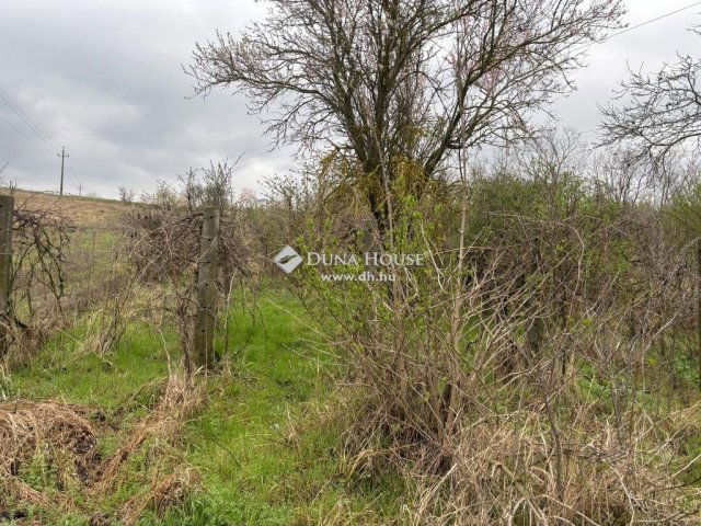 Eladó mezogazdasagi ingatlan, Tokodon 3.5 M Ft