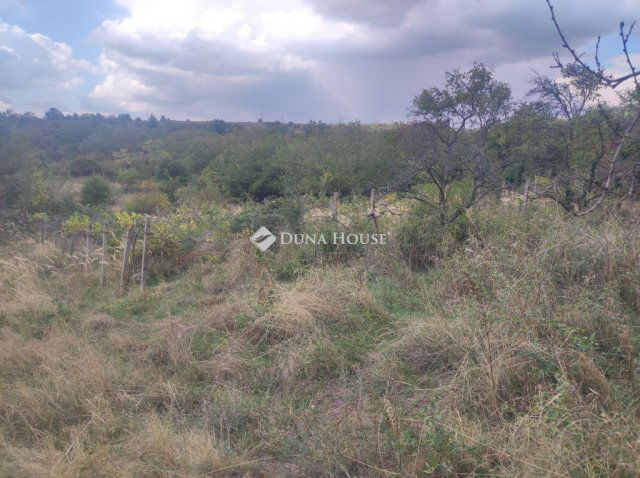 Eladó telek, Kővágószőlősön 5.5 M Ft / költözzbe.hu