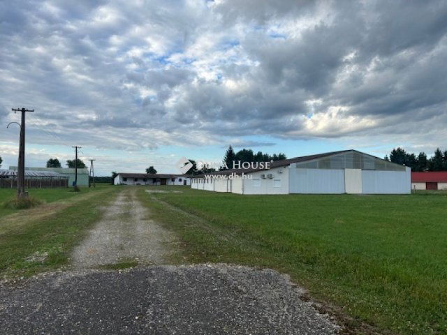 Eladó mezogazdasagi ingatlan, Lentiben 230 M Ft