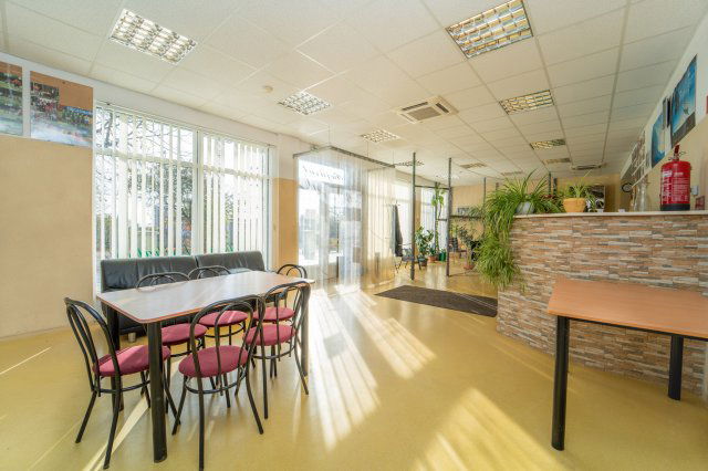 Eladó ipari ingatlan, Kistarcsán, Raktár körúton 220 M Ft