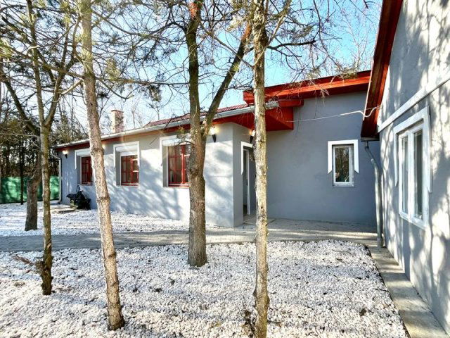 Eladó mezogazdasagi ingatlan, Nagykátán 37.5 M Ft