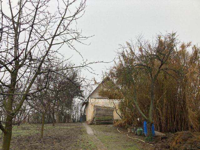Eladó családi ház, Szentesen 5.25 M Ft, 1 szobás