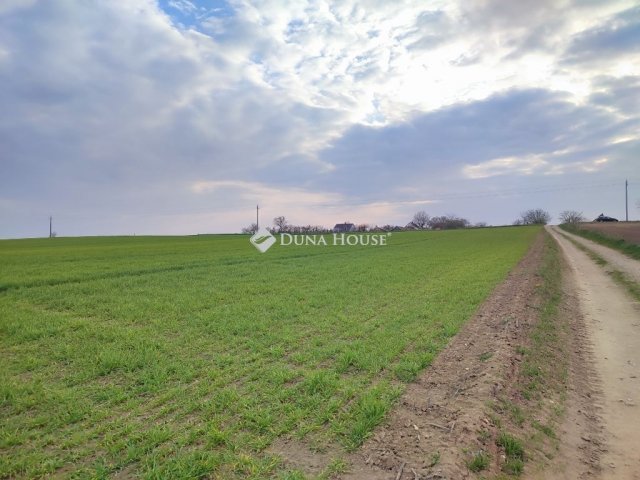 Eladó telek, Tápszentmiklóson 4.9 M Ft / költözzbe.hu