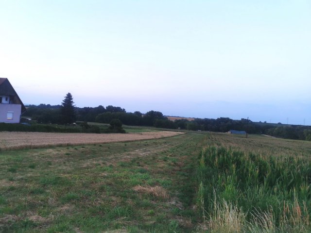 Eladó telek, Zamárdiban 79.017 M Ft / költözzbe.hu
