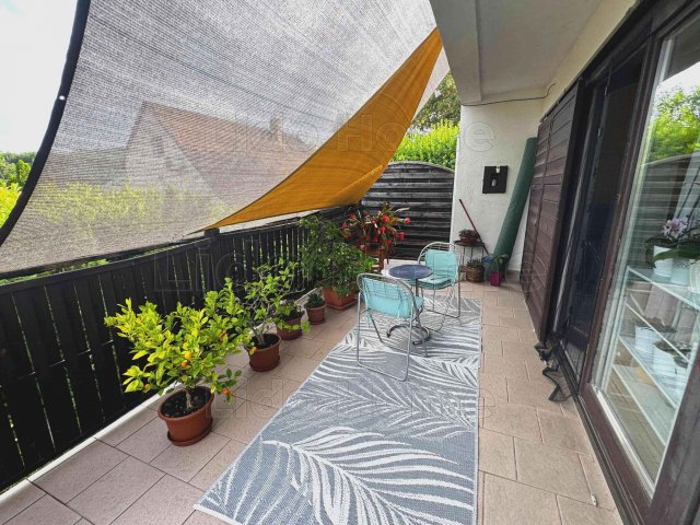 Eladó családi ház, Galambokon 41.99 M Ft, 3 szobás