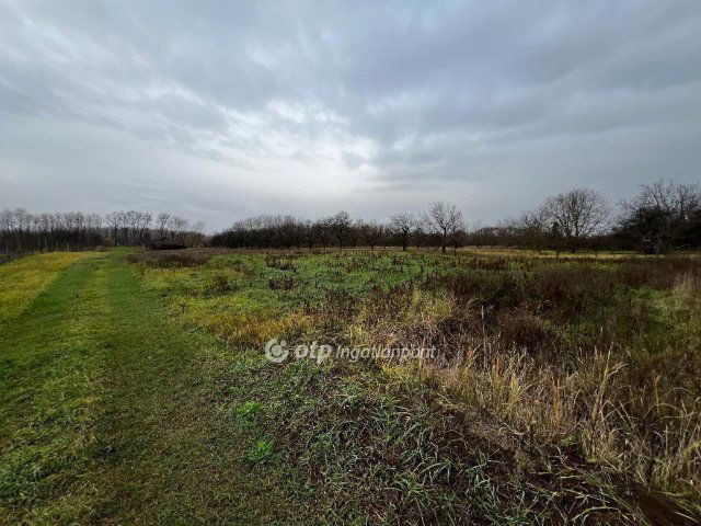 Eladó telek, Nyíregyházán 21.9 M Ft / költözzbe.hu