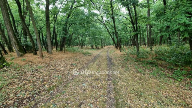 Eladó mezogazdasagi ingatlan, Csemőn 41.6 M Ft, 3 szobás