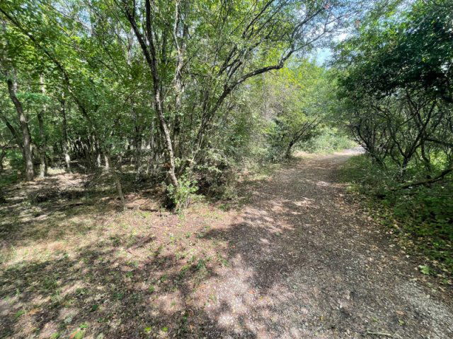 Eladó telek, Tihanyban 219 M Ft / költözzbe.hu