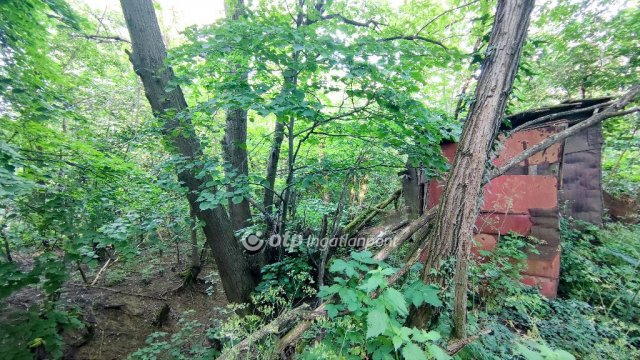 Eladó mezogazdasagi ingatlan, Karmacson 2.9 M Ft