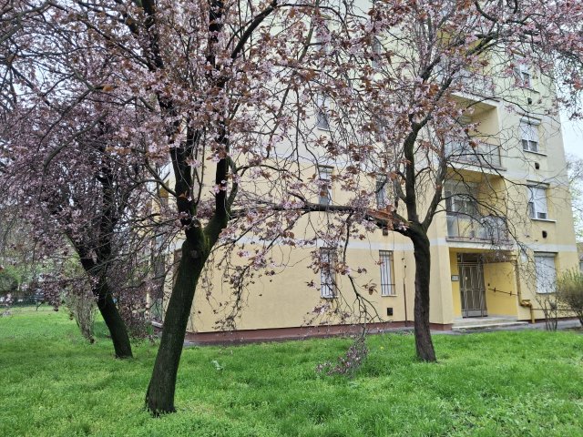 Eladó téglalakás, Szolnokon 34.5 M Ft, 2 szobás