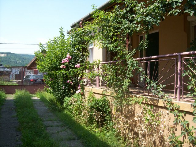 Eladó családi ház, Bodrogkeresztúron 29.9 M Ft, 3 szobás