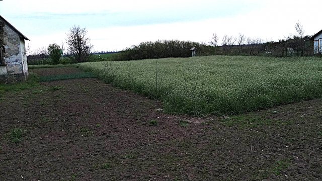 Eladó nyaraló, Törökszentmiklóson 4.5 M Ft, 1 szobás