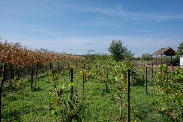 Eladó mezogazdasagi ingatlan, Hajdúszoboszlón 12.5 M Ft
