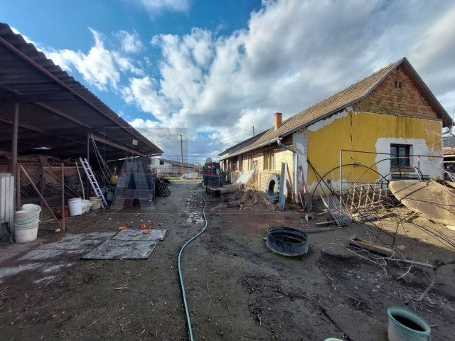 Eladó családi ház, Röszkén 20 M Ft, 4 szobás