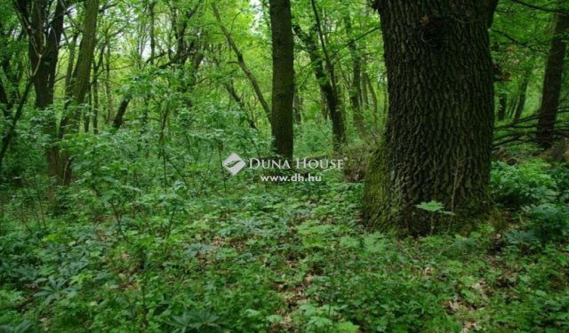 Eladó telek, Regenyén 3.5 M Ft / költözzbe.hu