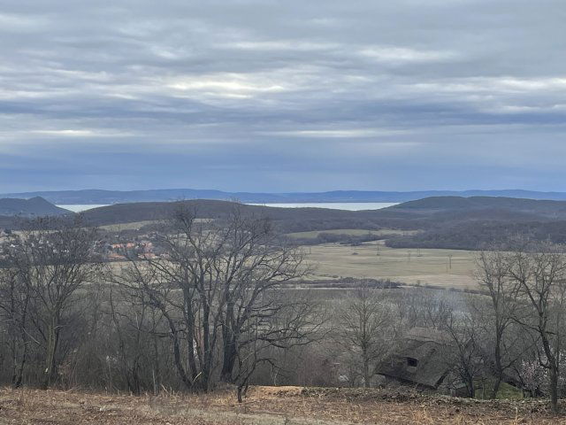 Eladó mezogazdasagi ingatlan, Balatonszőlősön 85 M Ft