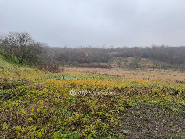 Eladó telek, Demjénben 4.5 M Ft / költözzbe.hu