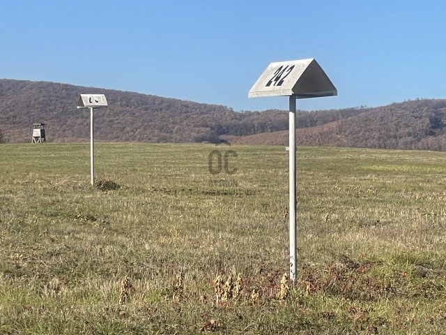 Eladó mezogazdasagi ingatlan, Kosdon 59 M Ft / költözzbe.hu