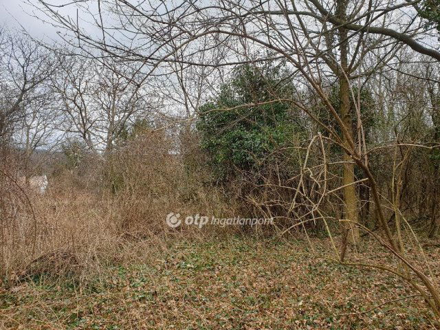 Eladó telek, Zalaszántón 6.5 M Ft / költözzbe.hu
