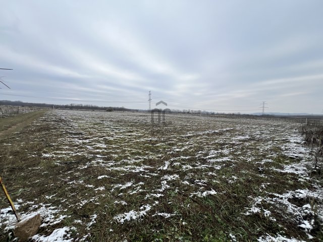 Eladó telek, Szadán 12 M Ft / költözzbe.hu