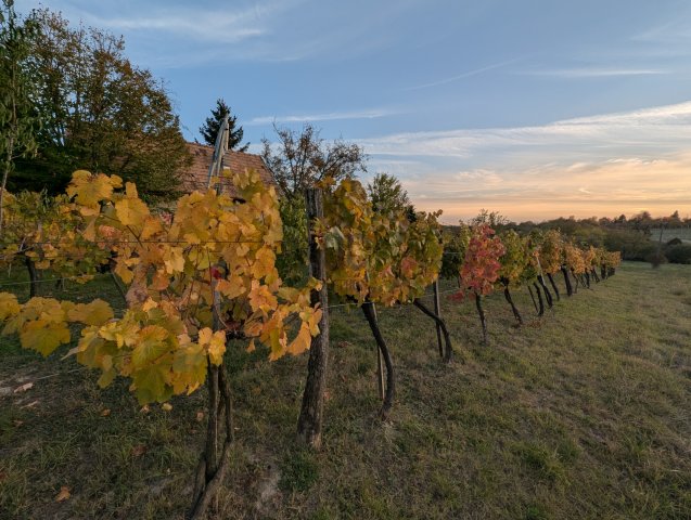 Eladó telek, Balatonkenesén 28 M Ft / költözzbe.hu