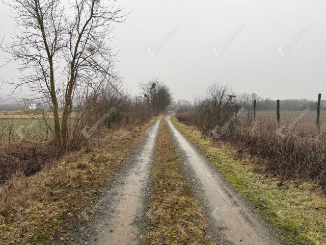 Eladó telek, Zalaegerszegen 4.9 M Ft / költözzbe.hu