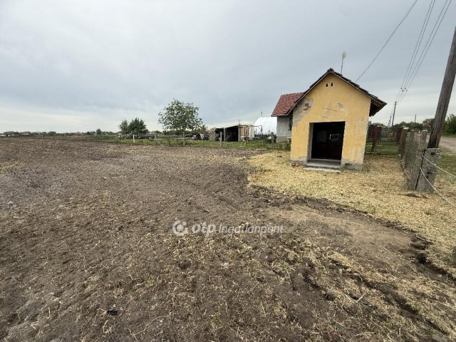 Eladó telek, Tiszakécskén 2.9 M Ft / költözzbe.hu