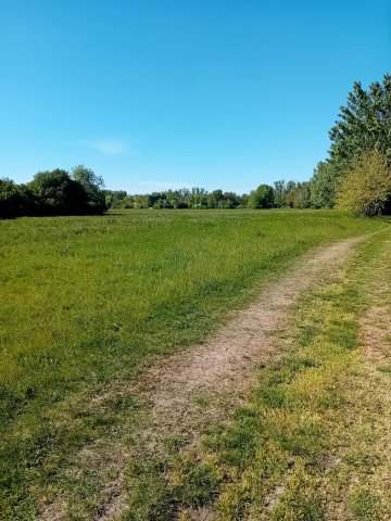 Eladó telek, Mezőtúron 17.99 M Ft / költözzbe.hu