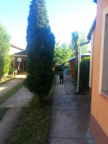 Eladó családi ház, Geszten 19.9 M Ft, 3 szobás