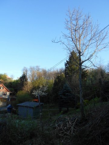 Eladó telek, Zalaegerszegen 9 M Ft / költözzbe.hu