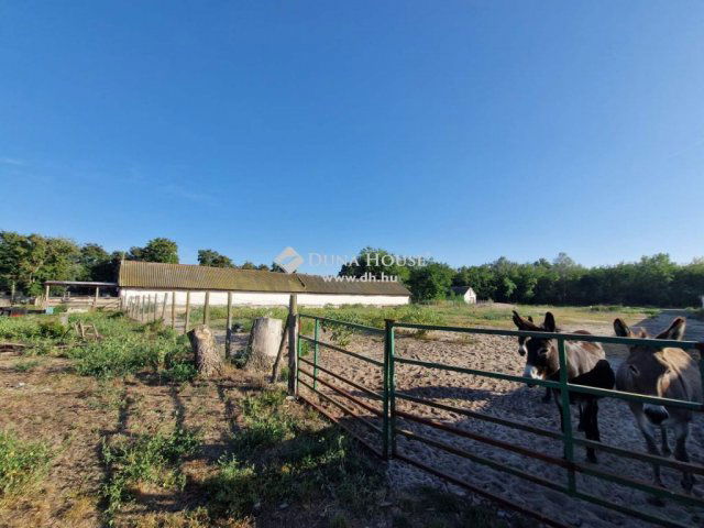 Eladó mezogazdasagi ingatlan, Kocséren 130 M Ft, 3 szobás