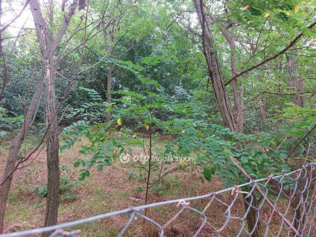 Eladó telek, Gombán 9 M Ft / költözzbe.hu