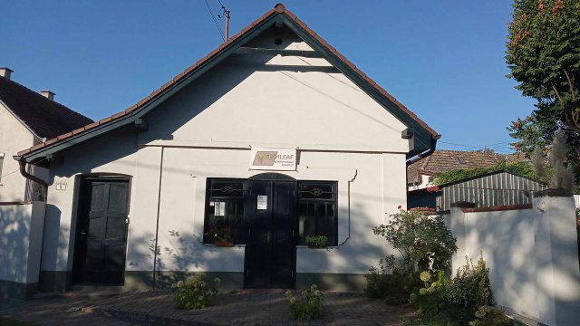 Kiadó üzlethelyiség, Gödöllőn 170 E Ft / hó, 1 szobás