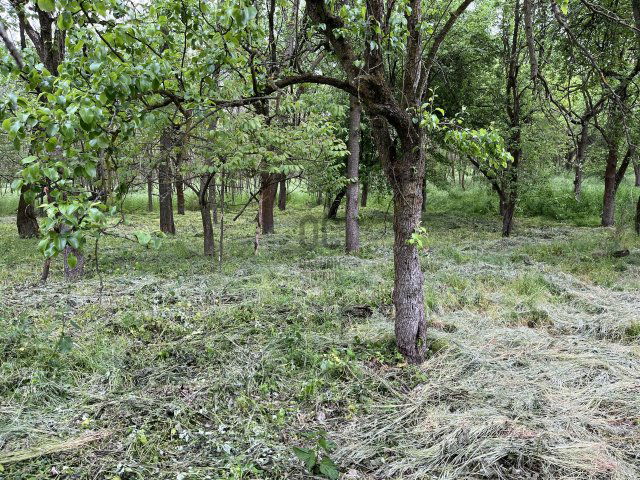 Eladó mezogazdasagi ingatlan, Nyíregyházán 8.5 M Ft