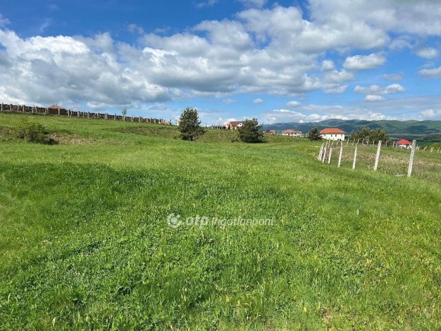 Eladó telek, Berkenyén 23.5 M Ft / költözzbe.hu