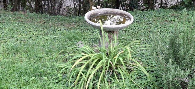 Eladó családi ház, Pogányon 109 M Ft, 2+4 szobás